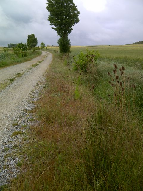 Nr.120 - Anklicken zum Vergrößern