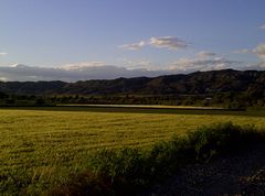 Nr.74 - Anklicken zum Vergrößern