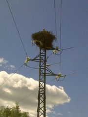 Nr.77 - Anklicken zum Vergrößern